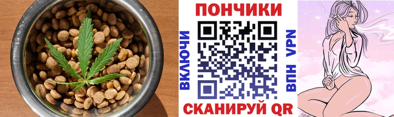 Canna-Cookies марихуана  купить закладку  Дзержинск 