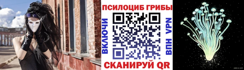 цены наркотик  Дзержинск  Псилоцибиновые грибы мицелий 